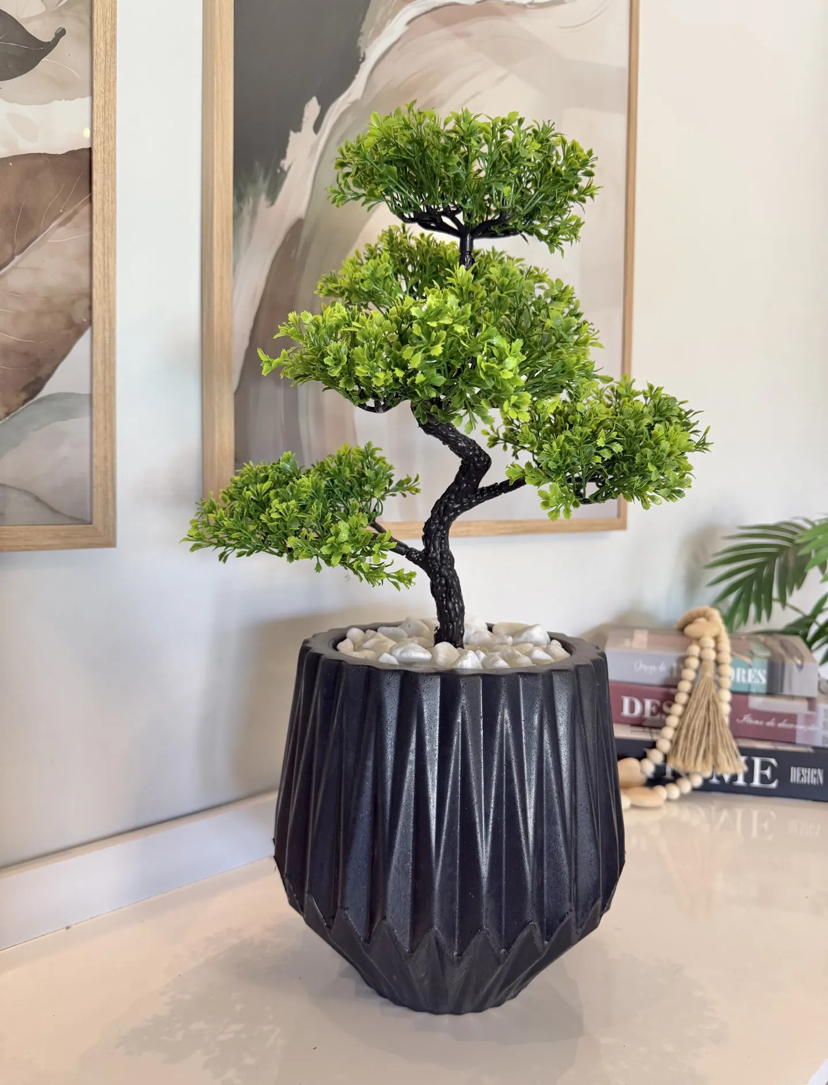 Planta Bonsai Mini Árvore em vaso preto
