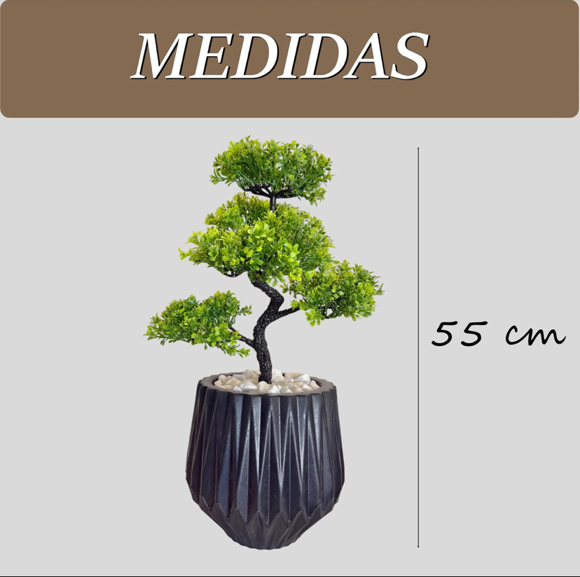 Medidas da Planta Bonsai Mini Árvore